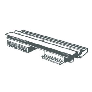 Zebra GT800 printhead (203dpi) P1025950-019
